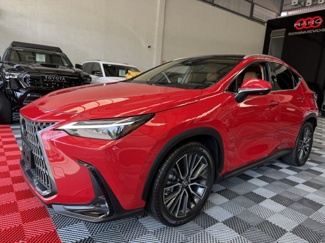 LEXUS